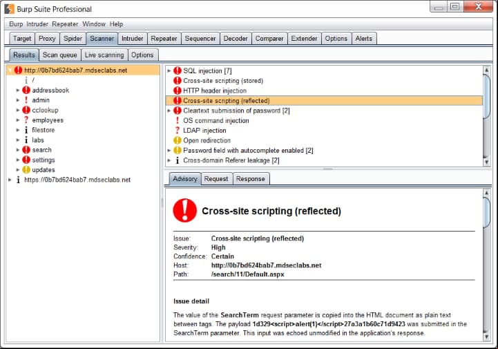 Caracteristicas de Burp Suite Professional 2022